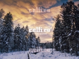 Stock-1-0068 | Landscape and Nature | Malchows Company